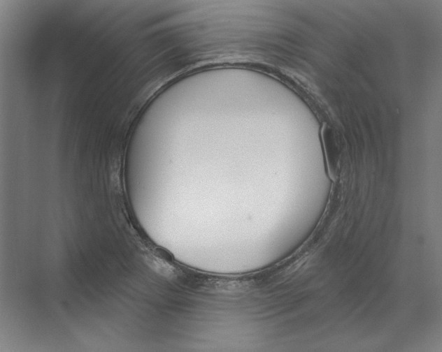 X0000068841273200606021659