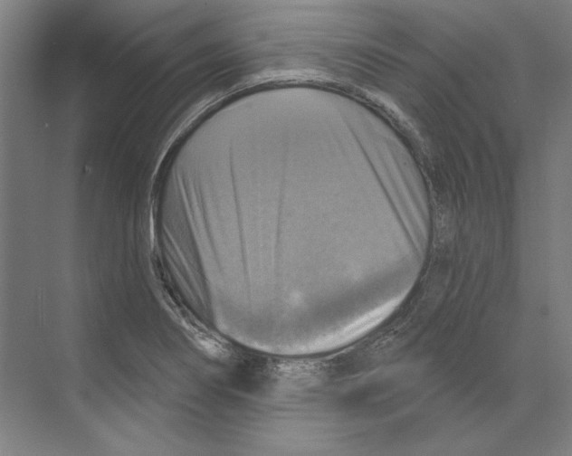 X0000068841274200606021659