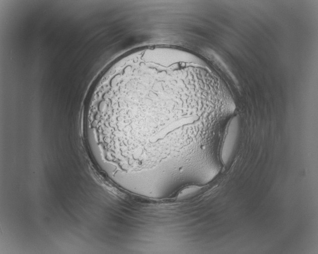 X0000068841276200606021659