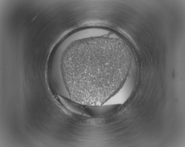 X0000068841277200606021659