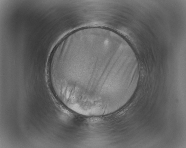 X0000068841278200606021659