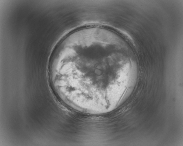 X0000068841279200606021659