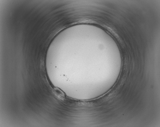 X0000068841281200606021659