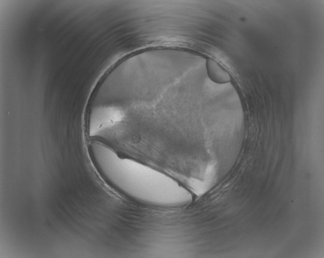 X0000068841283200606021659