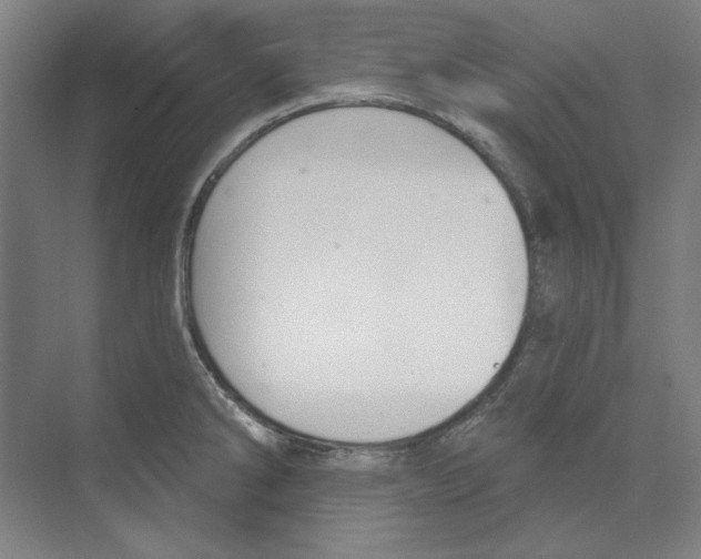 X0000068841286200606021659