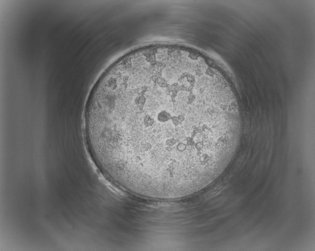 X0000068841287200606021659