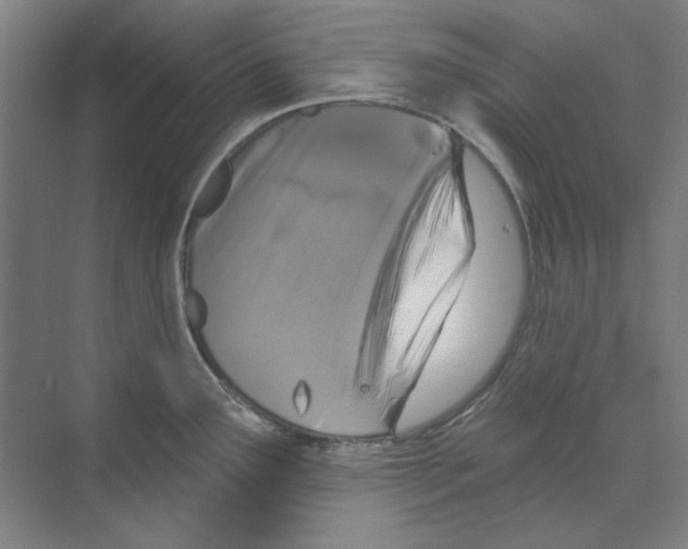 X0000068841291200606021659