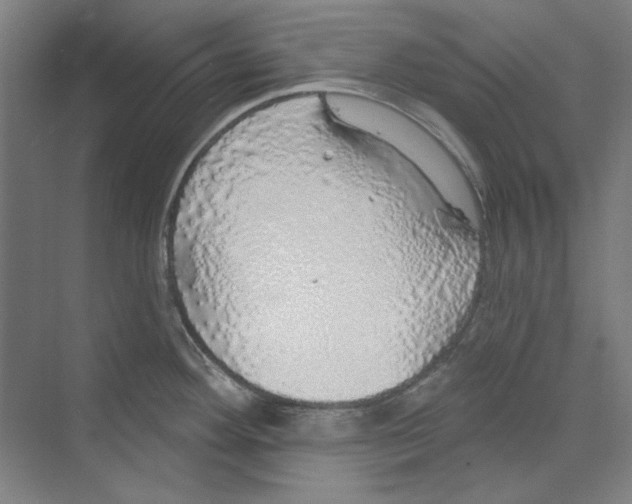 X0000068841292200606021659