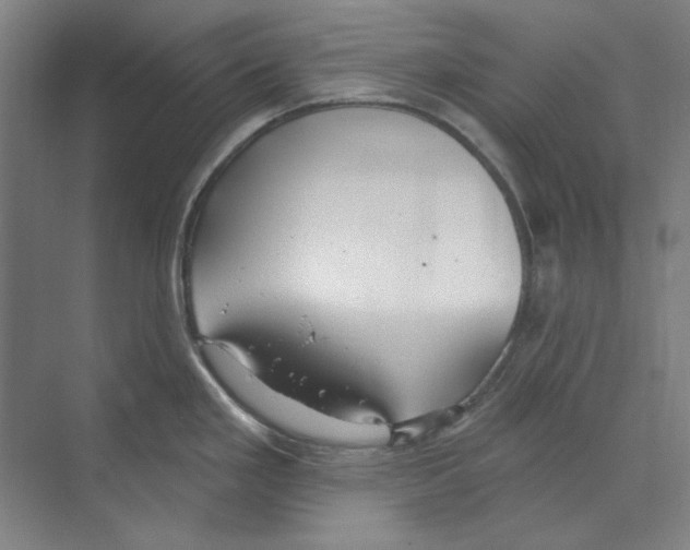 X0000068841293200606021659