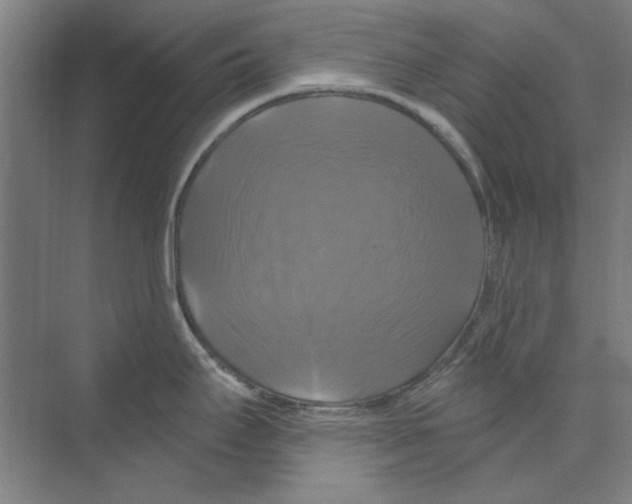 X0000068841295200606021659