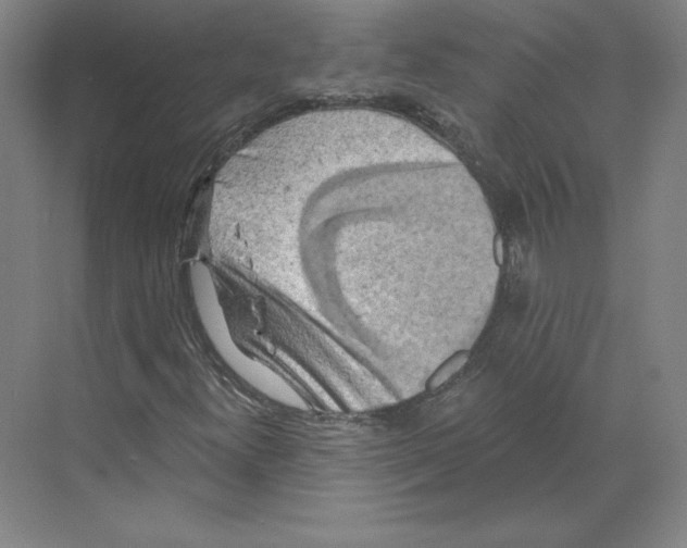 X0000068841300200606021658