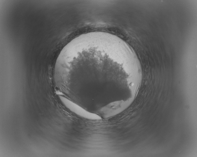 X0000068841301200606021658