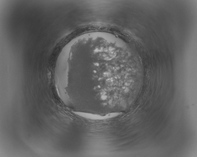 X0000068841302200606021658