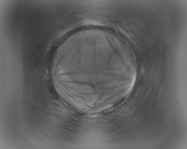 X0000068841303200606021658