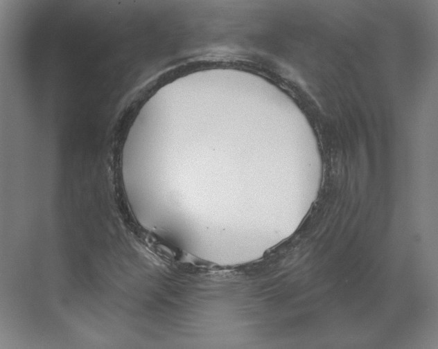 X0000068841304200606021658