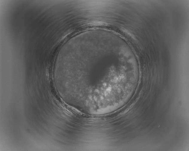 X0000068841305200606021658