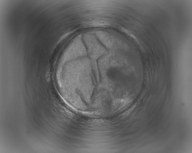 X0000068841306200606021658