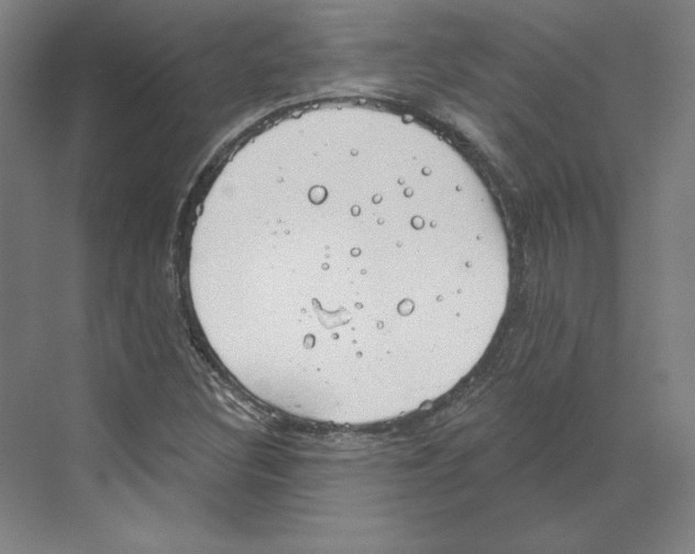 X0000068841308200606021658