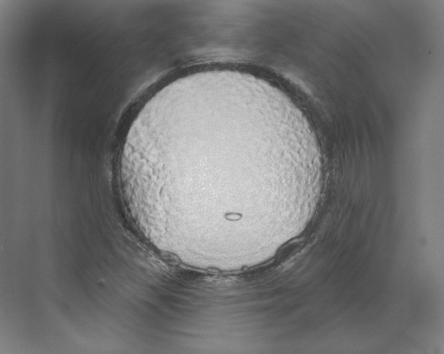 X0000068841309200606021658