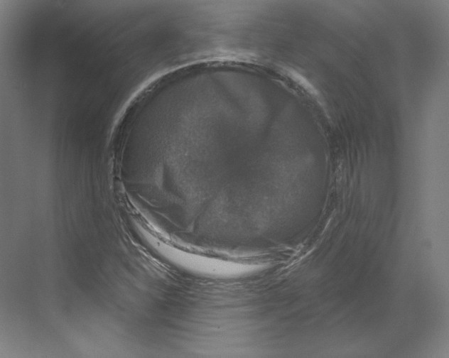 X0000068841310200606021658