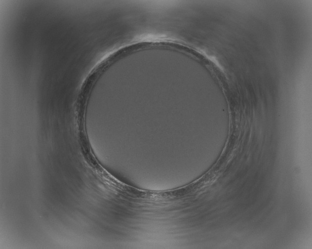 X0000068841311200606021658