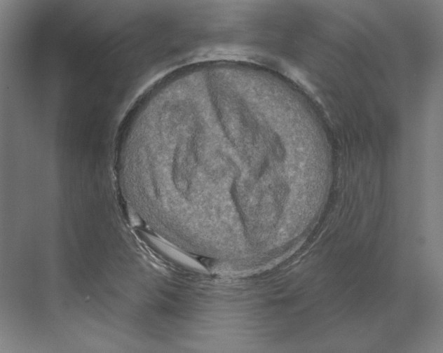 X0000068841312200606021658