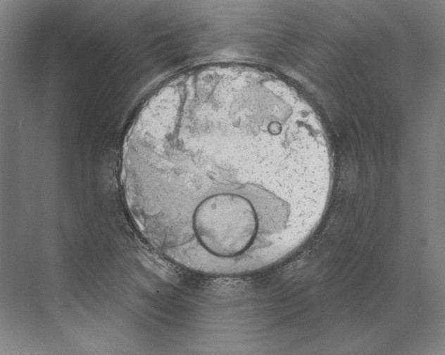 X0000068841314200606021658