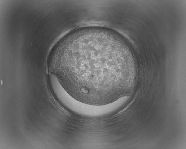 X0000068841317200606021658