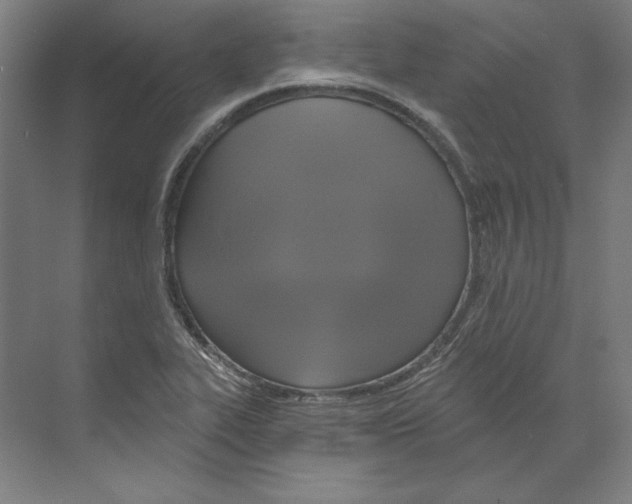 X0000068841319200606021658