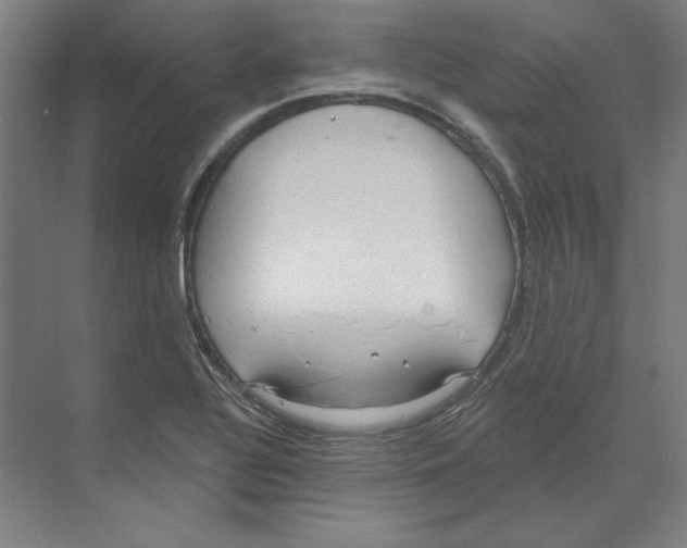 X0000068841320200606021658