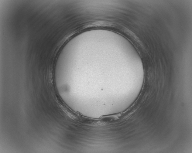 X0000068841321200606021658