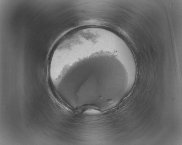 X0000068841323200606021658