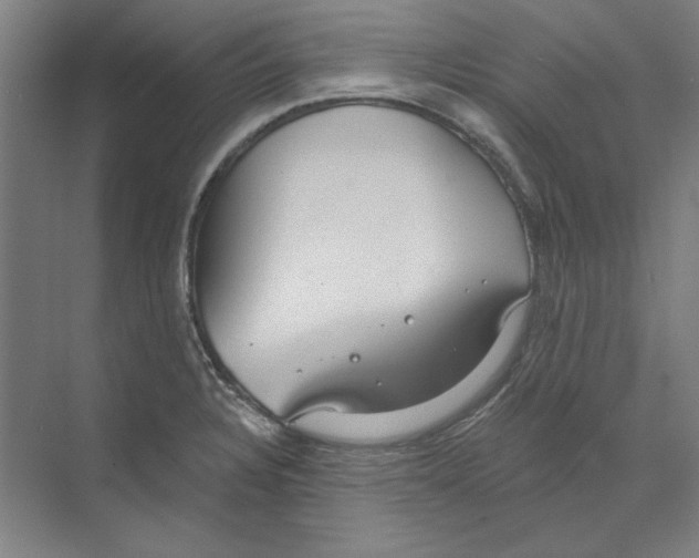 X0000068841328200606021658