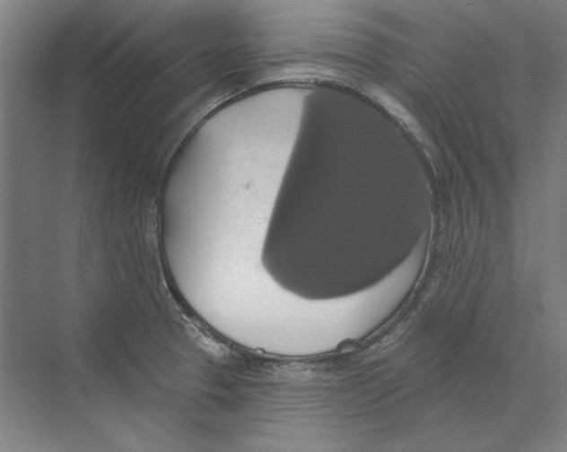 X0000068841329200606021659