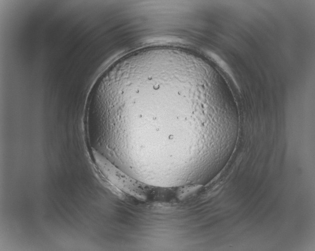 X0000068841330200606021659