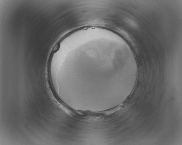 X0000068841331200606021659