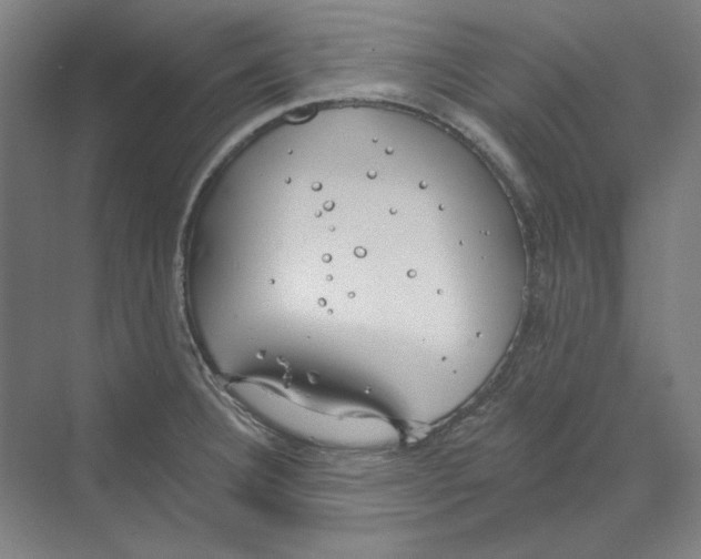 X0000068841332200606021659