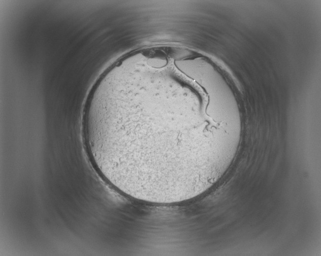 X0000068841333200606021659