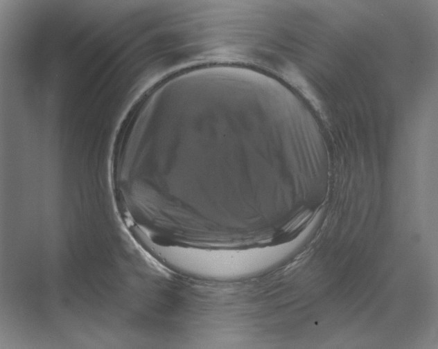 X0000068841334200606021659