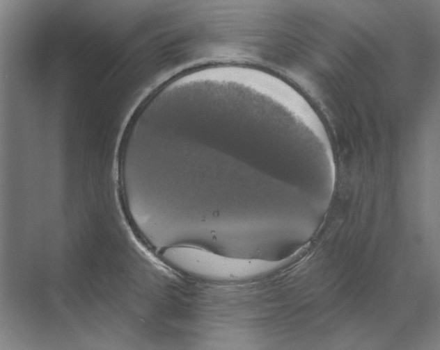 X0000068841335200606021659