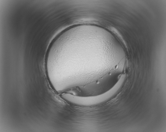 X0000068841336200606021659