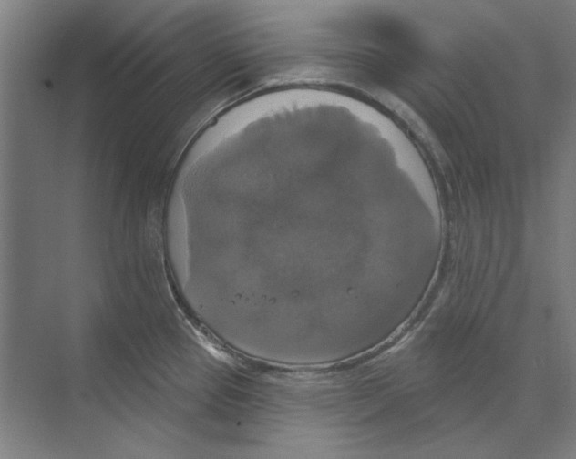 X0000068841337200606021659