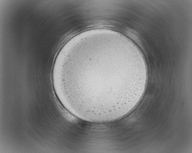 X0000068841338200606021659