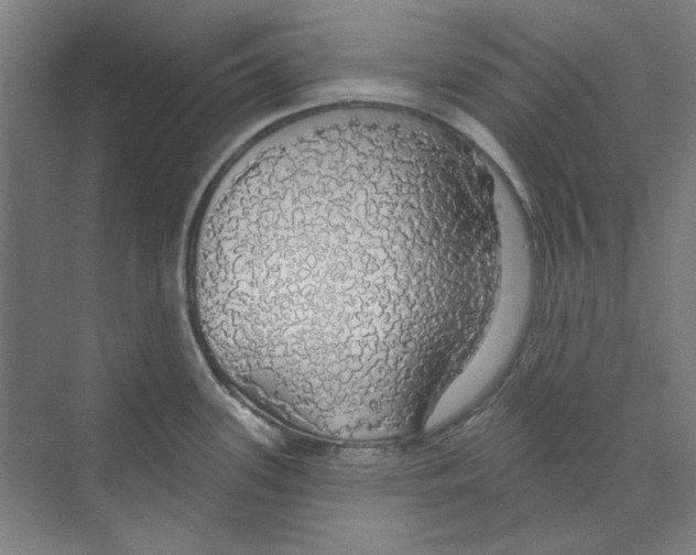 X0000068841339200606021659