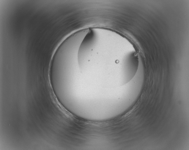 X0000068841340200606021659