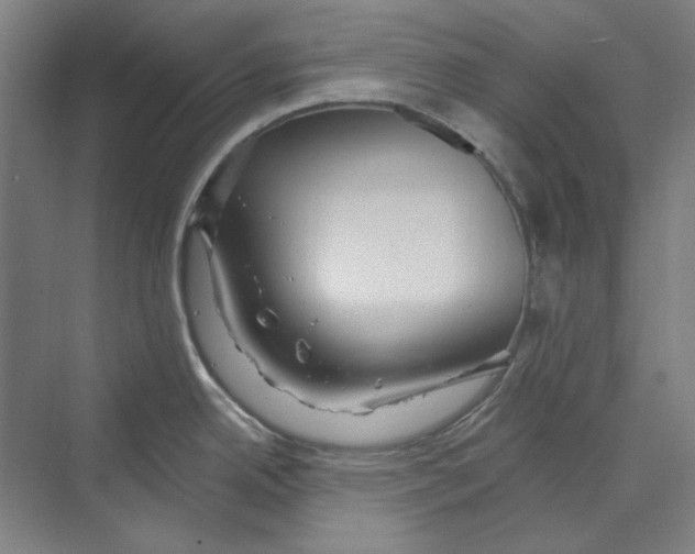 X0000068841342200606021659