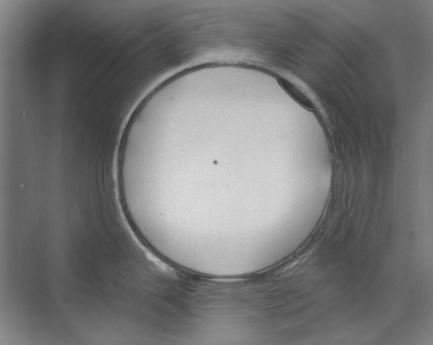 X0000068841343200606021659