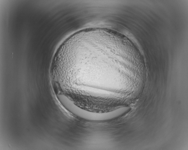 X0000068841344200606021659