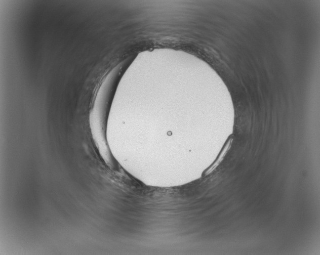 X0000068841345200606021658