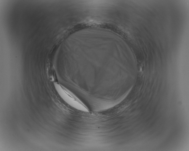 X0000068841348200606021658